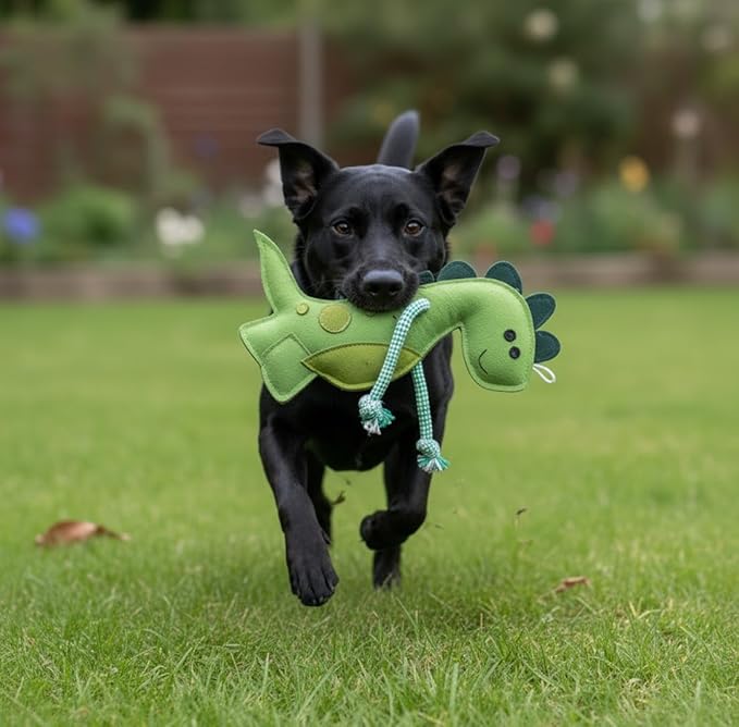 Eco Leather Digby Dino Toy Natural and Tough Dinosaur Dog Toys - Long Lasting Chew Toys for Aggressive Chewers Strong Dog Toy for Dogs and Puppy