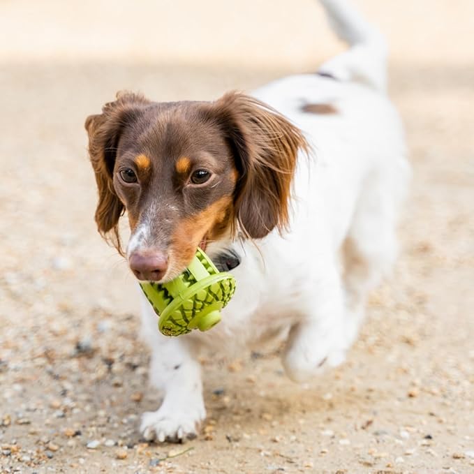 Tall Tails Acorn Natural Rubber Reward Toy for Dogs - Use for Spreadables Treats and Kibble Play
