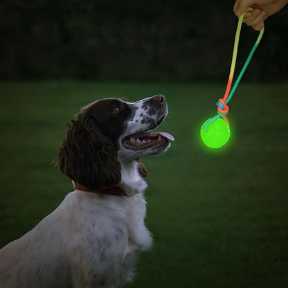 2 Pcs Dog Training Ball on Rope Glow in The Dark Ball 2.36 Inch Toys with 12 Inch Rope for Small Large Medium Dogs Glowing Interactive Pull Reward Fetch Exercise Toy
