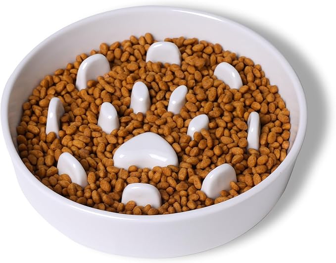Dog Slow Feeder Bowl, Round Ceramic Pet Food Bowl for Medium Breed, Fun Raised Dog Bowls to Slow Down Eating (White)