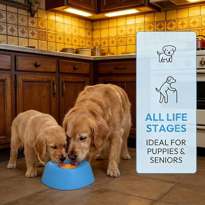 Lick and Roll Slow Feeder Bowl for Dogs, Food-Grade Rubber, Interactive Treat Feeding, Anti-Slip, Built-in Ball Roller, for Small, Medium and Large Breeds (2Pcs-Blue)