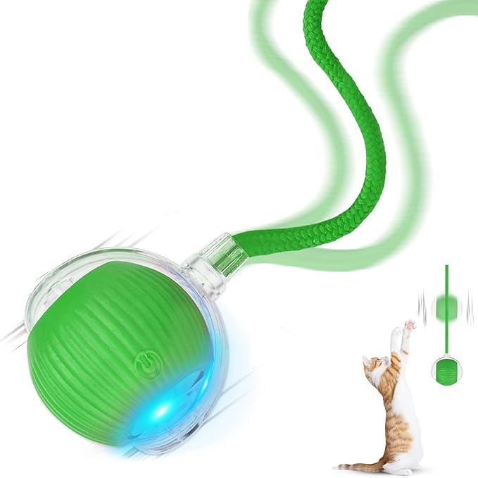 2025 New 1Pack Cat Ball Kitten Toys for Indoor Interactive Kitty Ball Toy Speedy Tail 360° Automatic Rolling for Dog, Cat(Green)
