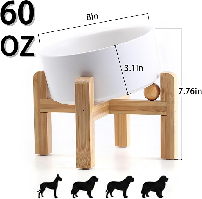 hjn Elevated Ceramic Dog Bowl 15°Slanted Raised Dog Bowl with Bamboo Stand for Small Medium Dogs and Cats, Pet Feeder -7.6-Cup (1800ml)-White