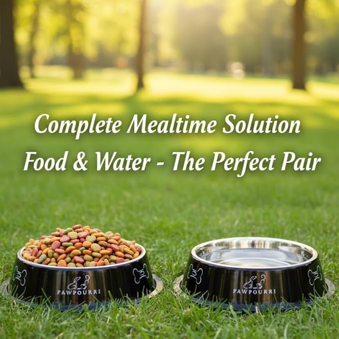 2 Pack Stainless Steel Dog Bowls – 16 fl oz Anti-Skid Food & Water Bowls for Small Dogs, Puppies & Cats|Dog Food & Water Bowl|Dog Feeding Bowl (Black)