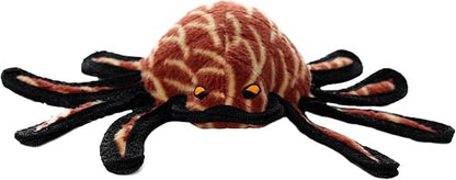Tuffy Desert Spider