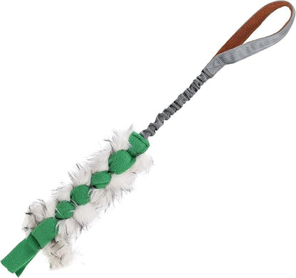 ETIAL Interactive Dog Tug of War Toy, Puppy Training Pull Toy with Bungee Rope for Exercise & Interactive Play Games, Dog Rope Toy for Small Medium Large Dogs Chase and Tug (Green)