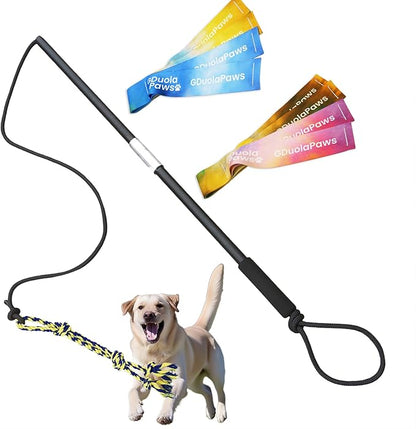 Flirt Pole for Dogs,Heavy Duty 4 Pieces Set with 3 Lures,Interactive Teaser Wand for Small Medium Large Pets,Durable Flirt Stick for Chase,Outdoor Tether Play,Exercise,Training