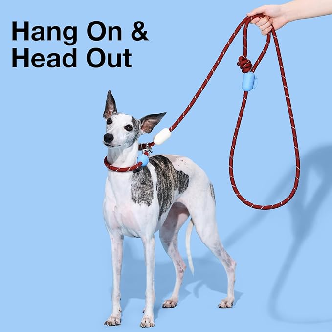 VETRESKA Hands-Free Dog Leash, 8FT Rope Leash for Medium Large Dogs, Waist/Crossbody Slip Lead Leashes for Walking, No Pull Dog Leashes with Bag Dispenser, 2 in 1 Walk Kit (Mist&Merlot)