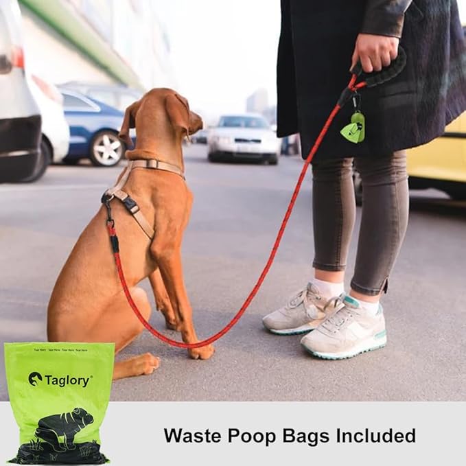 Taglory Rope Dog Leash 6 FT with Comfortable Padded Handle, Highly Reflective Threads Leash and Anti-Tangle Clip for Walking Small Dogs, 3/8 inch, Red