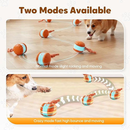 Interactive Dog Toy,2026 New Automatic Rolling Ball with Rope for Cat, Durable Dogs Rope Toy for Chewing and Playing, Dogs Ball Toy for Puppy Cats (Orange/2pcs)