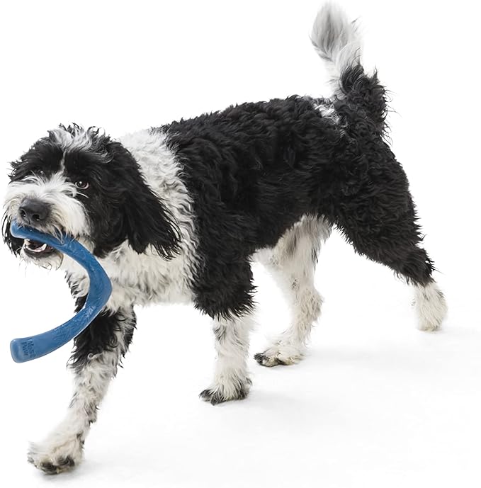 WEST PAW Seaflex Snorkl Dog Tug Chew Toy for Moderate Chewers, Made in USA, 8.25" Large, Surf