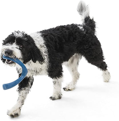 WEST PAW Seaflex Snorkl Dog Tug Chew Toy for Moderate Chewers, Made in USA, 8.25" Large, Surf