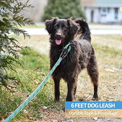 BAAPET 2/4/5/6 FT Dog Leash with Comfortable Padded Handle and Highly Reflective Threads for Small Medium and Large Dogs (6FT-1/2'', Turquoise) - Image 5