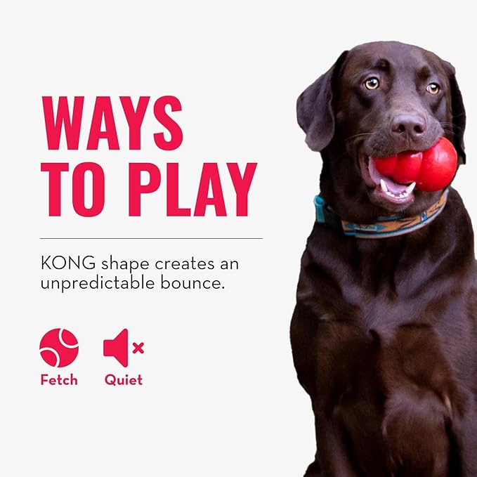 KONG - Bounzer X-Large