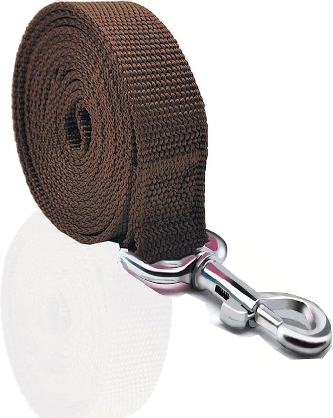 Nylon Dog Leash 8 Feet Long, Walking Training Dog Leashes for Medium Large Dogs