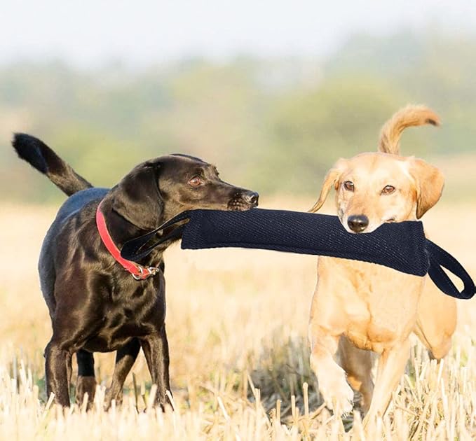 Clysrou Dog Tug Toy Tough Jute Bite Pillow Lasting Training Equipment Puppy to Large Dogs Interactive