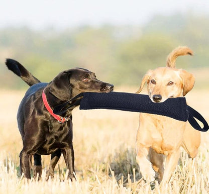 Clysrou Dog Tug Toy Tough Jute Bite Pillow Lasting Training Equipment Puppy to Large Dogs Interactive