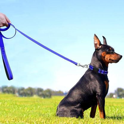 FunTags 6FT Reflective Dog Leash with Soft Padded Handle for Training,Walking Lead for Medium & Small Dogs,3/4 Inch Wide,Royal Blue