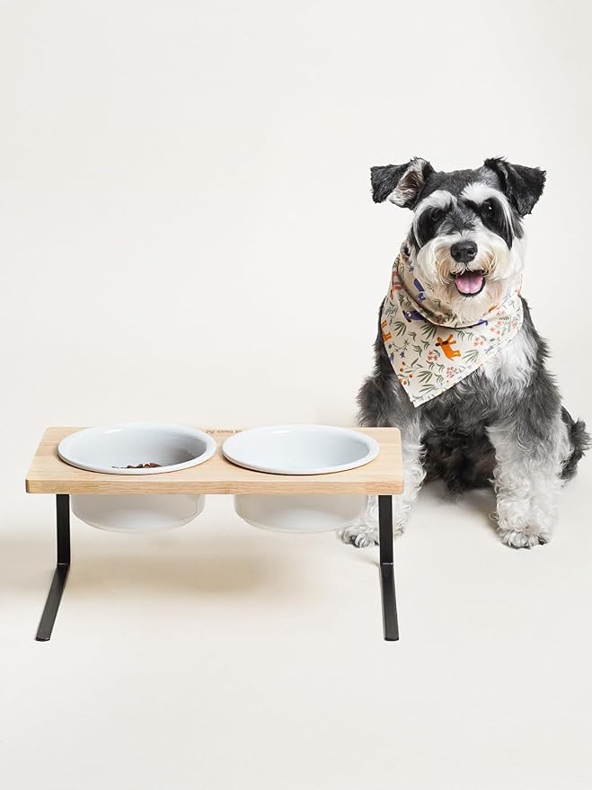 Elevated Dog Bowls, Raised Dog Bowl Stand with Two 6.5 inch Ceramic Bowl, Non-Slip Puppy Food and Water Bowls, Dogs Feeder for Small and Medium Breed, White