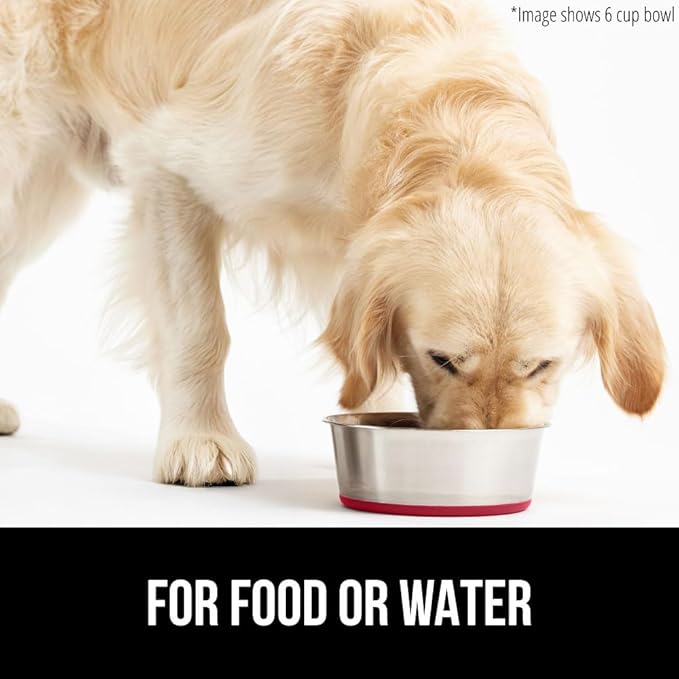 GORILLA GRIP Dog Bowl, Holds 6 Cups (48 fl oz), Food Grade 304 Stainless Steel Food and Water Bowl for Feeding Dogs and Cats, BPA Free Rubber Base, Easy Clean, Dishwasher Safe, Rust Resistant, Red