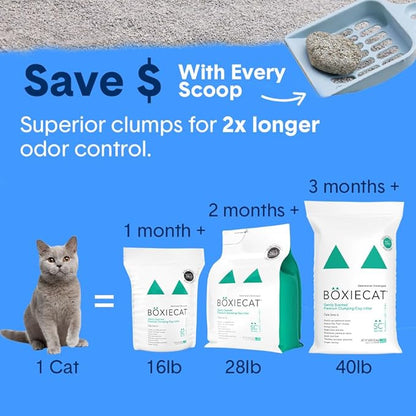 Boxiecat Cat Litter, Clumping, 32lbs, Gently Scented | 30 Day Odor Control | Clay | 2 Pack