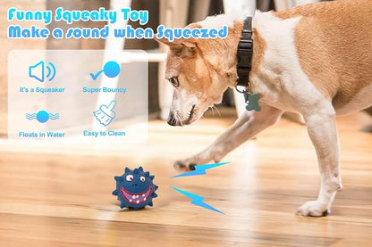 TTCOLATOPIA 4Pcs Squeaky Dog Toys Set - Natural Latex Rubber Balls for Large, Medium, Small Dogs - Aggressive Chewers Friendly - Cute Faces for Fun