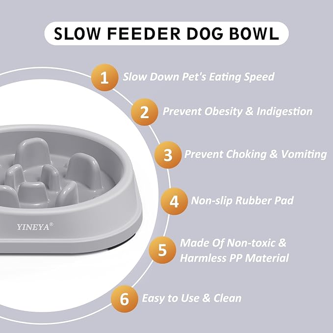 2PCS Anti-Choking Slow Feeder Dog Bowls Small Size Dog, Slow Feeder Cat Bowl, Supplies and Puzzle for Pet