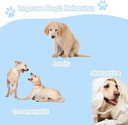 Automatic Dog Ball Thrower Launcher Interactive Toys, Auto Dog Ball Launcher for Medium to Large Dogs, Remote Control Tennis Balls Machine for Dogs, Pet Mental Stimulation Toys, with 6 Balls