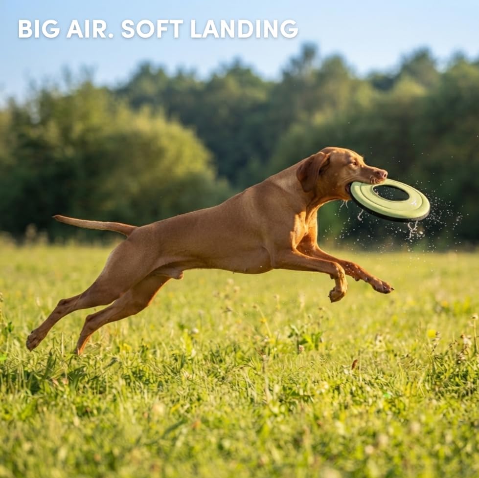 OllyDog Mini Super Flyer, Dog Flying Disc – Floating Fetch Toy, Soft on Teeth, Eco-Friendly Recycled Material, Lightweight, for Small & Medium Dogs (Sol, 9") - Image 4