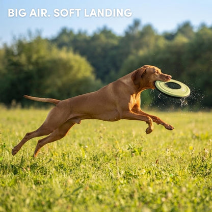OllyDog Mini Super Flyer, Dog Flying Disc – Floating Fetch Toy, Soft on Teeth, Eco-Friendly Recycled Material, Lightweight, for Small & Medium Dogs (Sol, 9") - Image 4