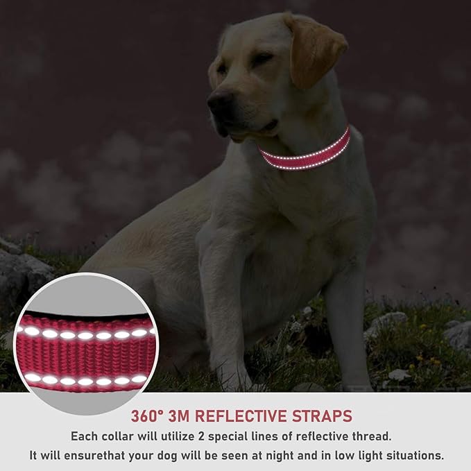Reflective Dog Collar with Buckle Adjustable Safety Nylon Collars for Small Medium Large Dogs, Light Pink M