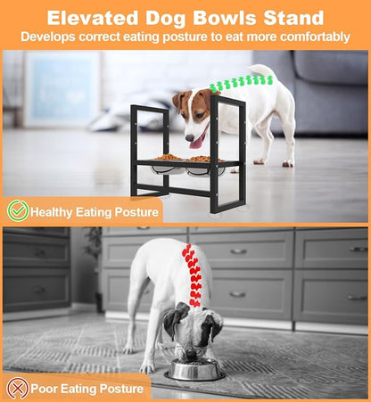 Elevated Dog Bowls Stand with 2 Stainless Steel Food & Water Bowls for Large Medium Small Dogs, Adjustable Raised Dog Bowl with Non-Slip Plastic Sucker for Pet,Black