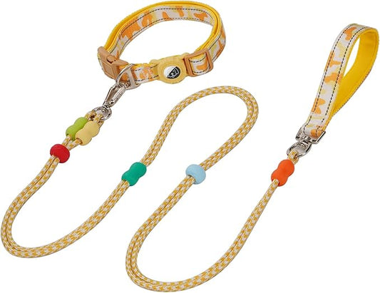 JSXD Dog Leash and Collar Set with AirTag Holder for Small Medium Large Dogs,5 FT Double Rope Leashes with Adjustable Reflective Soft Padded Nylon Pet Collars (Yellow, Small)