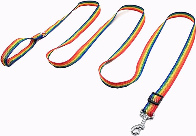 TAIAN Adjustable Nylon Dog Leash, 6FT/10 FT Long Dog Leashes for Small Medium Large Dogs (1 in x 10 ft, Rainbow)