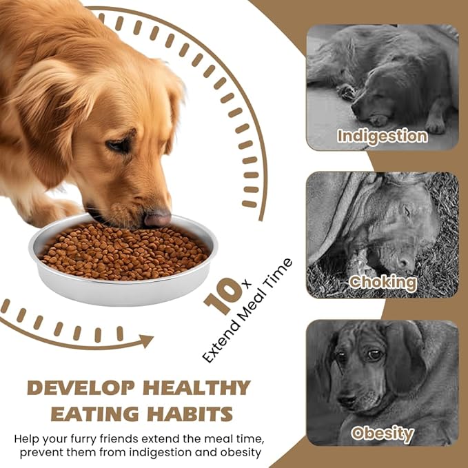 Slow Feeder Dog Bowls with Measuring Spoon, Stainless Steel Slow Feed Pet Bowl with Non-Slip Mat, Metal Feeder Dog Bowl for Small, Medium, Large Dogs to Slows Down Eating