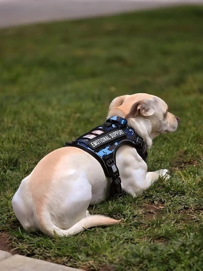 Auroth Tactical Dog Training Harness No Pulling Front Clip Leash Adhesion Reflective Pet Working Vest Easy Control for Small Medium Large Dogs Blue Camo M