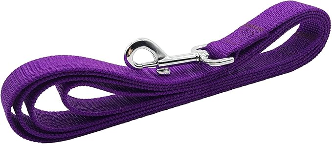 TAIAN 4FT/5FT/6FT Strong Dog Leash, Nylon Dog Leashes for Small Medium Large Dogs (5/8 in x 5 ft, Purple)