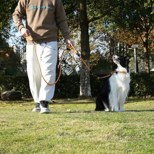 Rope Dog Leash with Two Handles, 6 Foot Heavy Duty Dog Leash with Aviation Aluminum Auto Locking Carabiner, Strong Nylon Pet Lead for Small, Medium, Large Dogs (Yellow, 6FT-Two Handle) - Image 6