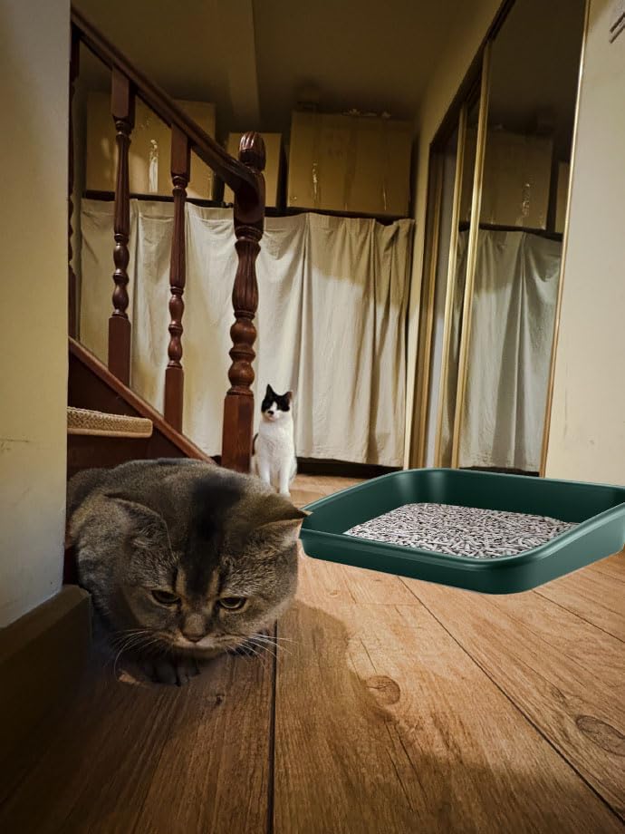 Extra Large Litter Box with High Sides 23.23" Lx16.54 Wx4.33 H, ABS Low Entry Senior Litter Pen Jumbo Pet Safe Litter Boxes Tray for Kittens to Senior Cat, Elderly and Fat Cat (Green) - Image 7