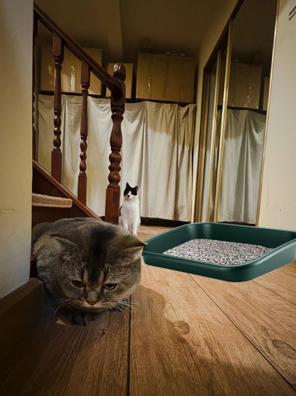Extra Large Litter Box with High Sides 23.23" Lx16.54 Wx4.33 H, ABS Low Entry Senior Litter Pen Jumbo Pet Safe Litter Boxes Tray for Kittens to Senior Cat, Elderly and Fat Cat (Green) - Image 7