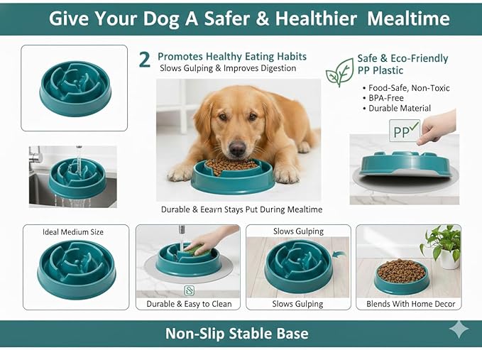 Dog Slow Feeder Bowl G&P | Non-Slip, Durable, Eco-Friendly PP Plastic | Medium Size(Length 8.07 in | Height 2.28 in)| 30 US Fluid Ounces of Food or Water | Puzzle Bowl |Anti-gulping Bowl