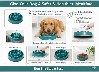 Dog Slow Feeder Bowl G&P | Non-Slip, Durable, Eco-Friendly PP Plastic | Medium Size(Length 8.07 in | Height 2.28 in)| 30 US Fluid Ounces of Food or Water | Puzzle Bowl |Anti-gulping Bowl