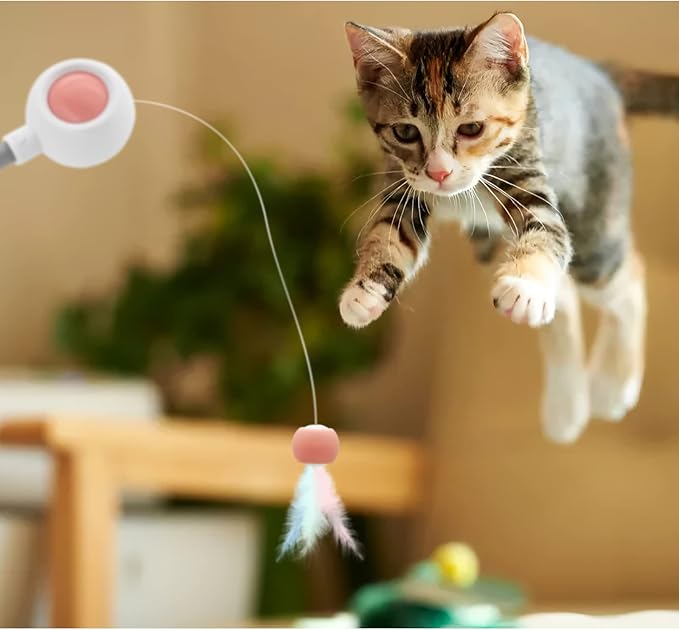 Andiker Cat Teaser Stick, Retractable Cat Wand with Replacement Head, Cat Feather Toy, Cat Interactive Toy for Indoor Cats for Relief Boredom and Exercise (Pink)