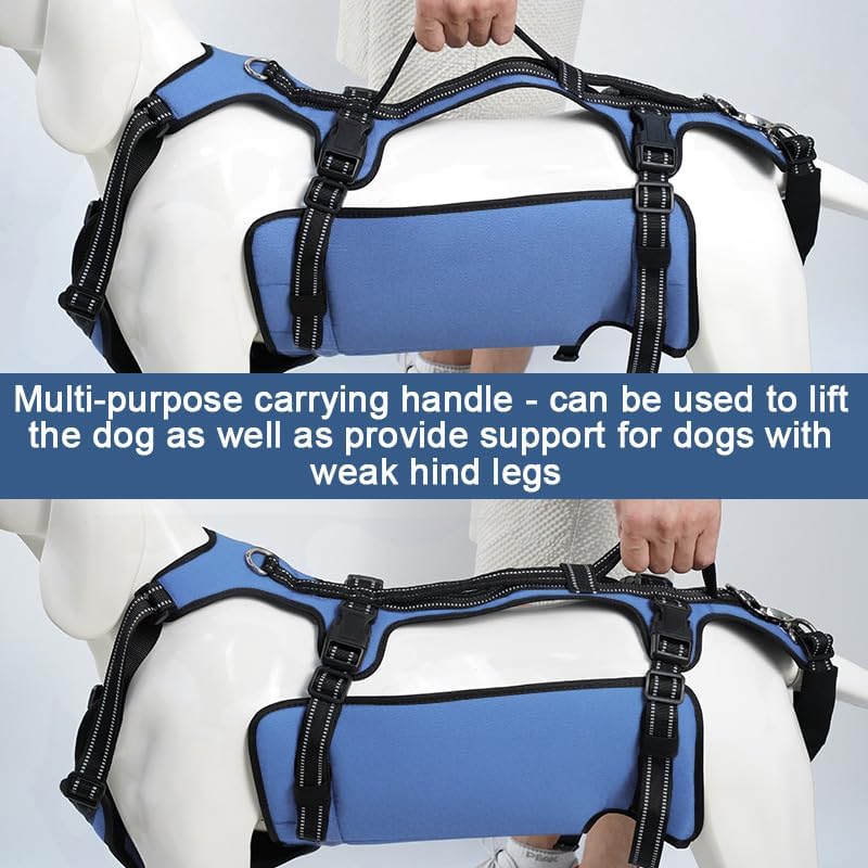 Coodeo Dog Lift Harness, Support & Recovery Sling, Pet Rehabilitation Lifts Vest Adjustable Breathable Straps for Old, Disabled, Joint Injuries, Arthritis, Paralysis Dogs Walk (Blue,M) - Image 6
