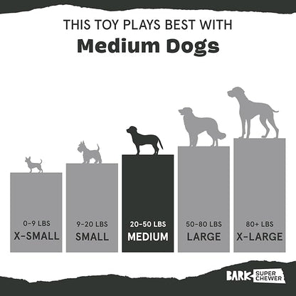 Barkbox Jelly Fetch Dog Toy for Medium Dogs – Perfect for Tug and Fetch Play, Durable Design with Strong Nylon Straps for Long-Lasting Fun