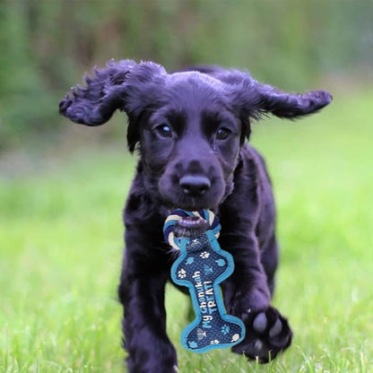 Rite Lite Hanukkah Bone Squeaky Dog Toy - Hanukkah Gifts for Dog Owners, Decorations, Goodie Bag Rewards Jewish Holiday Party Favors Toys Accessories Judaica Decor for All 8 Nights of Chanukah!
