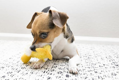 KONG Dr. Noy's Platy Duck Plush Dog Toy [Set of 3]