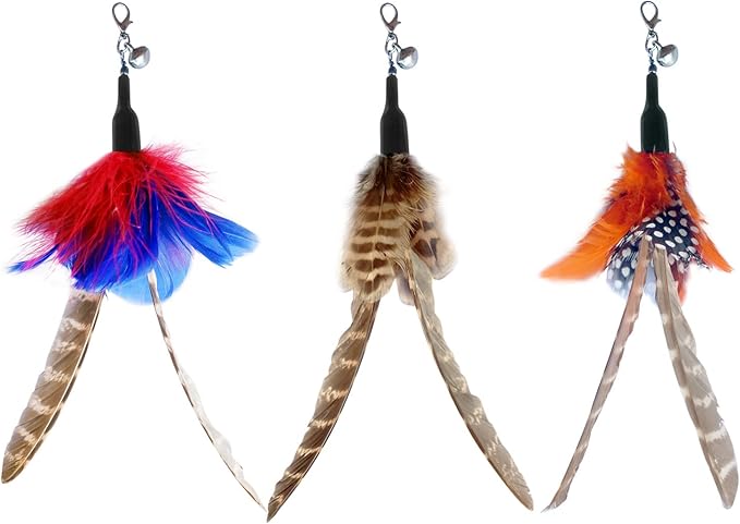 TTcat Cat Feather Toy Replacement Wand Refills, 10 Pcs Simulation Insects Bird Feathers.