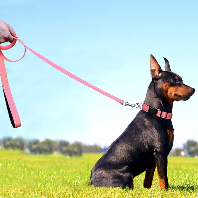 FunTags 6FT Reflective Dog Leash with Soft Padded Handle for Training,Walking Lead for Medium & Small Dogs,3/4 Inch Wide,Neon Pink