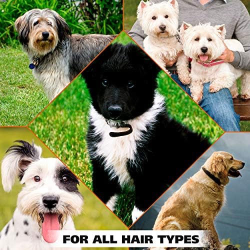 Wahl USA Pet Deodorant Spray for Dogs, Eucalyptus Spearmint, 8 oz - Image 6